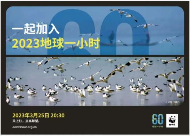 地球一小時(shí)|將軍陶瓷集團(tuán)邀您共同為環(huán)保助力