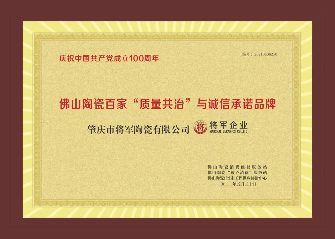 重磅 | 將軍企業實力捧回4大重量級獎項，獻禮建黨百年(圖4)