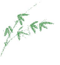 仲夏縈香，歡“粽”時光│將軍陶瓷集團端午節特別活動圓滿舉行(圖7)